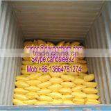 POLYALUMINUIM CHLORIDE (PAC) 30% FOR DRINKING WATER TREATMENT thumbnail-6