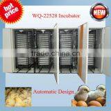 Large Size 20000 Chicken Incubator (22528 Eggs)