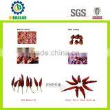 New Technology Chili Stem Remover Machine