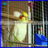 Heavy Gauge Bird Cage Wire Mesh Galvanized Welded Wire Mesh Panel 2x2