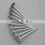 Black Roofing Nail thumbnail-2