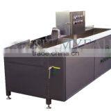 TW-306 Food Processing Machine/Factory Supply Multifunctional Electrical Vegetable&fruit Washer&air Bubble Washing Type thumbnail-2