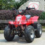 (JLA-02-01)HOT Jinling Kid Atv Kid Electric Mini Atv for Sale thumbnail-2