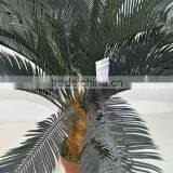 SJ0301115 Artificial Cheap Cycads Plant thumbnail-3
