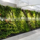 hot sale decoration indoor outdoor factory artificial green grass wall