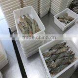 Frozen Seafood Recipes With Shrimp thumbnail-1