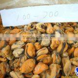 Frozen Cooked Blue Mussel thumbnail-1