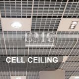 Cell Ceiling