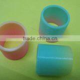 Rainbow Spring thumbnail-4