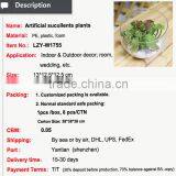 Artificial Potted Plants Office Artificial Plant Handmade Mini Plant thumbnail-2