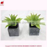 Wholesale Mini Succulent Potted Artificial Mini Aloe Green Aloe Artificial Plant thumbnail-5