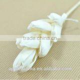 Bamboo Shoot Sola Flower Aroma Diffuser With Reed or Cotton Rope