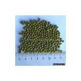 Sell Mung Beans thumbnail-1