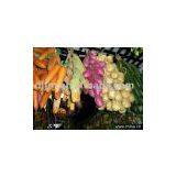 Artificial Vegetable/artificial Crafts/artificial Plant thumbnail-1