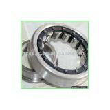 Cylindrical Roller Bearing thumbnail-1