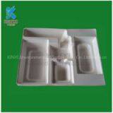 Eco-friendly Sugar Cane Molded Pulp Packaging Tray, Container