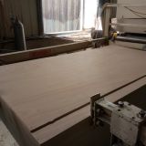 commercial plywood 9mm Okoume plywood