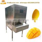 Cassava Peeling Machine , Industrial Fruit Peeling Machine , Fruit Mango Peeling Machine thumbnail-7
