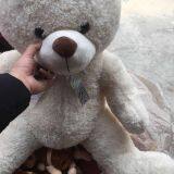 Manufacturers Supply Hug Bear 1.8m Teddy Bear Graduation Bear Dr. Bear Plush Toy Manufacturers OEM Custom thumbnail-4