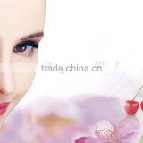 Spinning Lipstick Holder Elegance Lipstick Lipstick Tube Galore for Cosmetic Pacakging