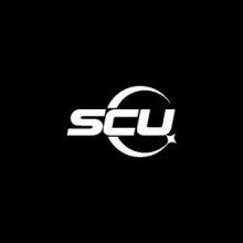 Sicon Chat Union Electric Co., Ltd.