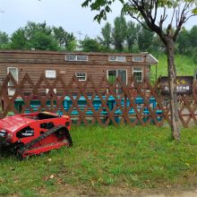 Slope mower for sale in China manufacturer factory