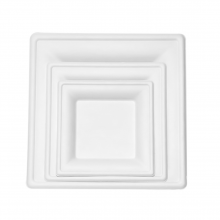 10”Hot Selling Party Restaurant Eco-Friendly Disposable Biodegradable Plates Sugarcane Bagasse Square Plates(500/ Case) thumbnail-2
