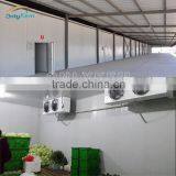 Cool Room , Cold Room Price , Cold Room for Fish Quality Choice
