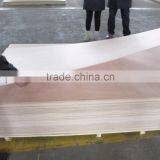 Bs1088 3mm Marine Plywood thumbnail-6