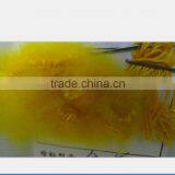 Manufacturer for Recycled Polyester Staple Fiber thumbnail-6