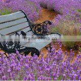 2016 Gardern Landscape Canvas Painting Lavender Strethed Canvas Prints