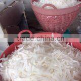 Coconut Chips thumbnail-2