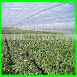 100% HDPE Anti Insect Netting thumbnail-2