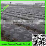Lowest Price Mulch Film With Holes Planting Egg Plant in Greenhouse to Prevent Grass thumbnail-4