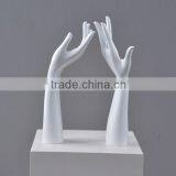 Mannequin Hands for Glove thumbnail-3