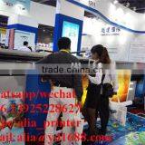 Large Size Solvent Roll Canvas Printer Roll Canvas Printer With Fast Speed thumbnail-4