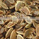 Dill Oil thumbnail-1