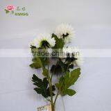 BJ016 5 Heads White Big Chinese Chrysanthemum Flower for Home Decoration thumbnail-4