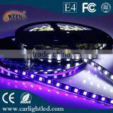 12v Led Lights Blue Color SMD5050 thumbnail-2