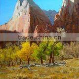 High Glossy Polyester Inkjet Canvas