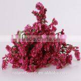 Supply Long Flower Period Fresh Cuttting Statices Flowers From Yunnan Province China thumbnail-1