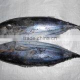 Skipjack Whole Round (frozen on Board) thumbnail-6