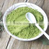 Dried Mint Leaves Powder