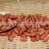 Chinese Long Type Peanut Kernels
