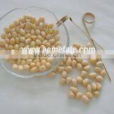 Chinese Peanut Kernels in Bulk Package