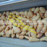 Carrot Potato Ginger Washing Machine / Ginger Washer