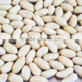 Haihua and Luhua 25/29 29/33 35/39 thumbnail-2