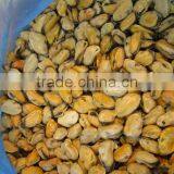 Mussels Meat thumbnail-1