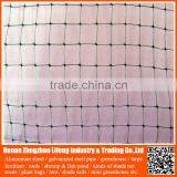 Shrimp Farm 100% Virgin Hdpe Plastic Anti Bird Netting , pe Net With uv thumbnail-6