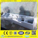 Mink Bird Cage Welded Wire Mesh thumbnail-5